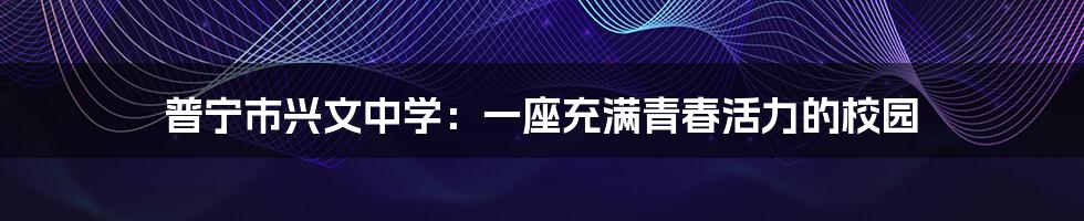普宁市兴文中学:一座充满青春活力的校园