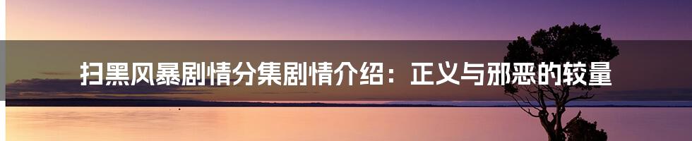 扫黑风暴剧情分集剧情介绍:正义与邪恶的较量