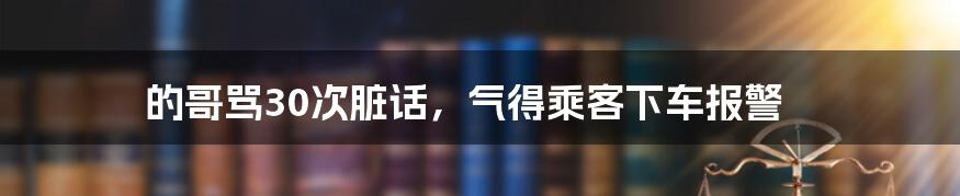 的哥骂30次脏话,气得乘客下车报警