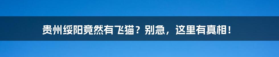 贵州绥阳竟然有飞猫?别急,这里有真相!