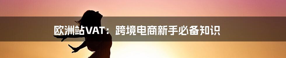 欧洲站VAT:跨境电商新手必备知识