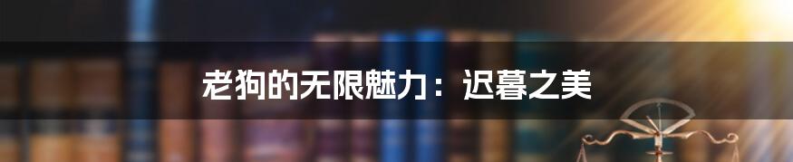 老狗的无限魅力:迟暮之美