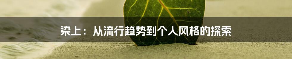 染上:从流行趋势到个人风格的探索