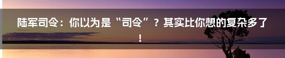 陆军司令:你以为是“司令”?其实比你想的复杂多了!