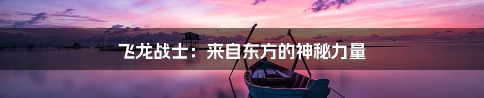 飞龙战士:来自东方的神秘力量