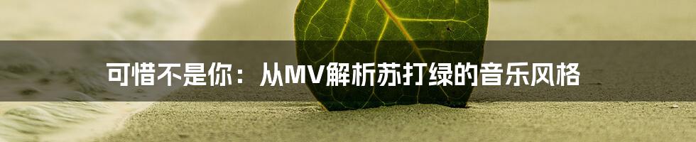 可惜不是你:从MV解析苏打绿的音乐风格