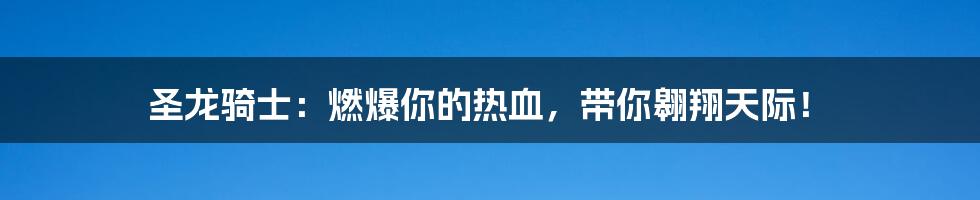 圣龙骑士:燃爆你的热血,带你翱翔天际!