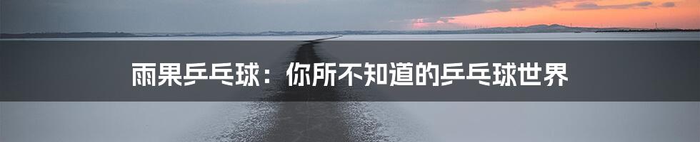 雨果乒乓球:你所不知道的乒乓球世界