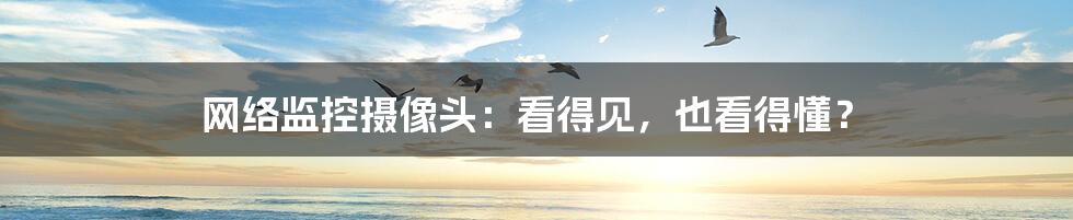 网络监控摄像头:看得见,也看得懂?