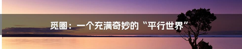 觅圈:一个充满奇妙的“平行世界”