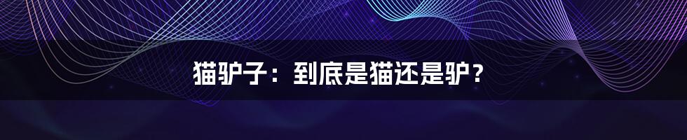 猫驴子:到底是猫还是驴?