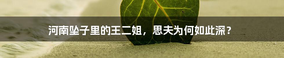 河南坠子里的王二姐,思夫为何如此深?