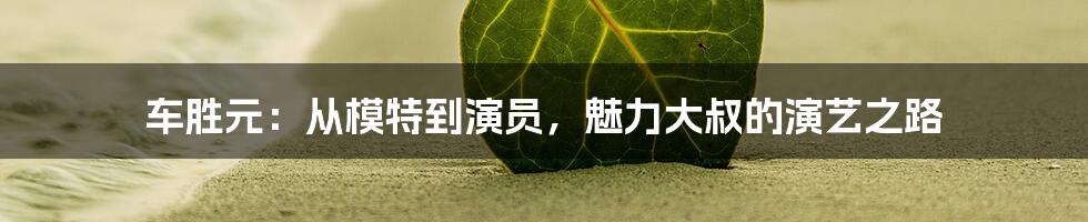车胜元:从模特到演员,魅力大叔的演艺之路