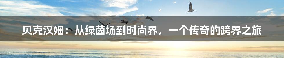 贝克汉姆:从绿茵场到时尚界,一个传奇的跨界之旅