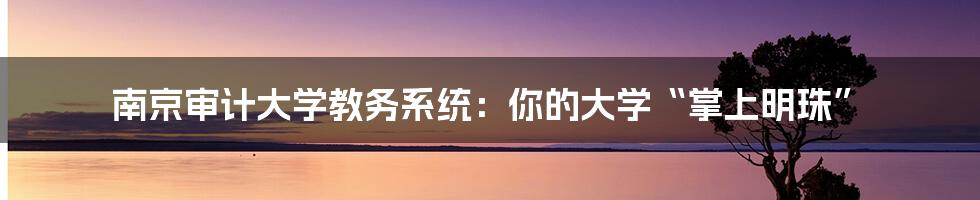 南京审计大学教务系统:你的大学“掌上明珠”