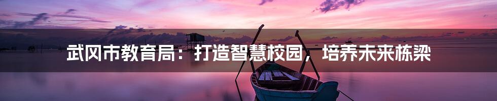 武冈市教育局:打造智慧校园,培养未来栋梁