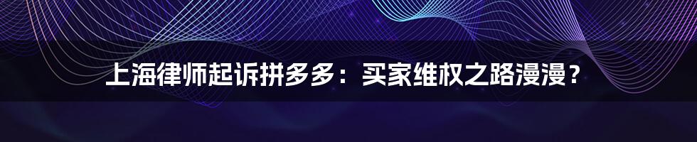上海律师起诉拼多多:买家维权之路漫漫?