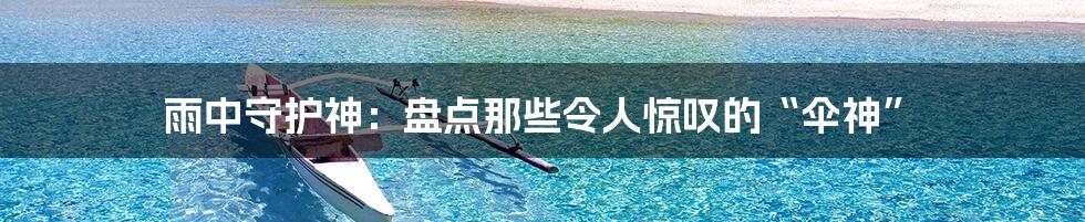 雨中守护神:盘点那些令人惊叹的“伞神”