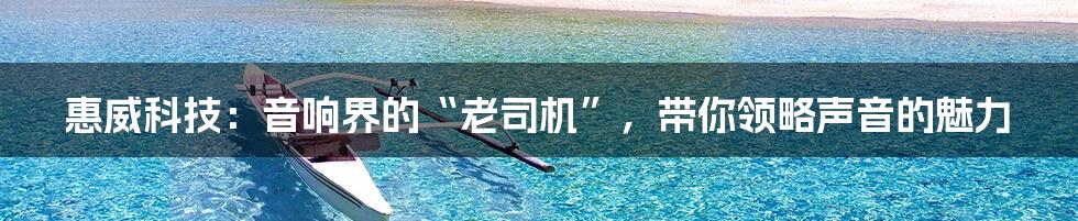 惠威科技:音响界的“老司机”,带你领略声音的魅力