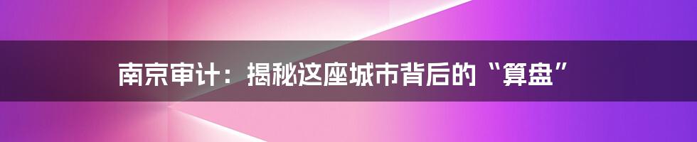 南京审计:揭秘这座城市背后的“算盘”