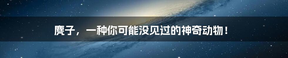 麂子,一种你可能没见过的神奇动物!