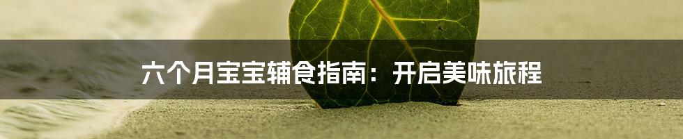 六个月宝宝辅食指南:开启美味旅程