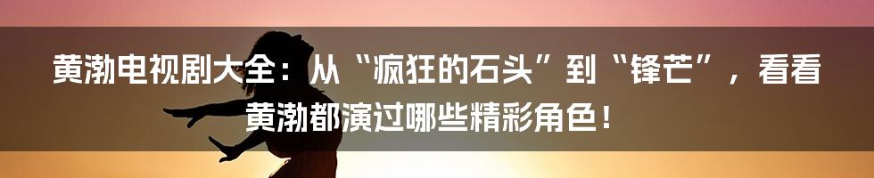黄渤电视剧大全:从“疯狂的石头”到“锋芒”,看看黄渤都演过哪些精彩角色!