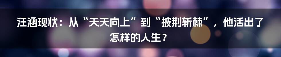 汪涵现状:从“天天向上”到“披荆斩棘”,他活出了怎样的人生?