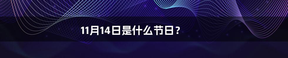 11月14日是什么节日?