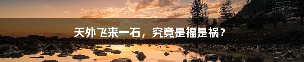 天外飞来一石,究竟是福是祸?