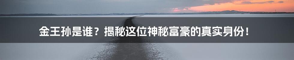 金王孙是谁?揭秘这位神秘富豪的真实身份!