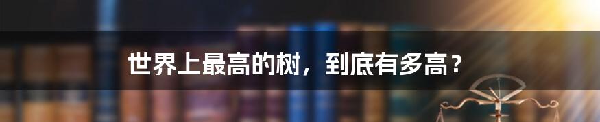世界上最高的树,到底有多高?