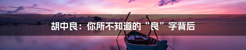 胡中良:你所不知道的“良”字背后