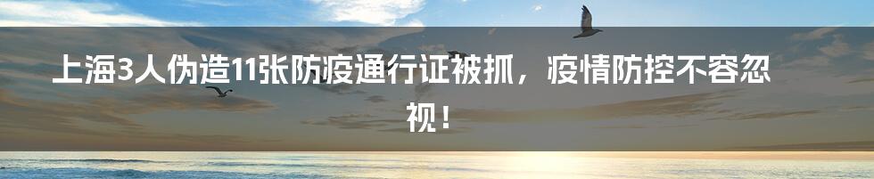 上海3人伪造11张防疫通行证被抓,疫情防控不容忽视!