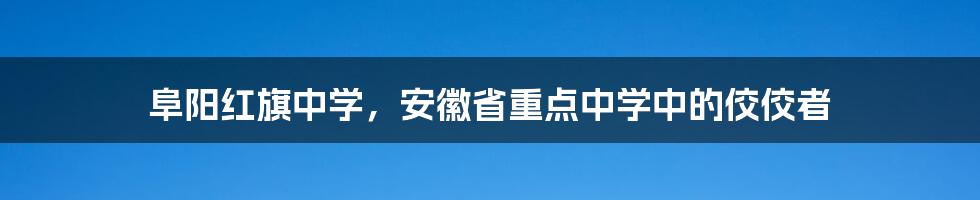 阜阳红旗中学,安徽省重点中学中的佼佼者