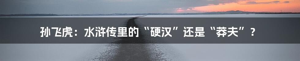 孙飞虎:水浒传里的“硬汉”还是“莽夫”?