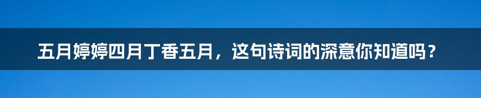 五月婷婷四月丁香五月,这句诗词的深意你知道吗?