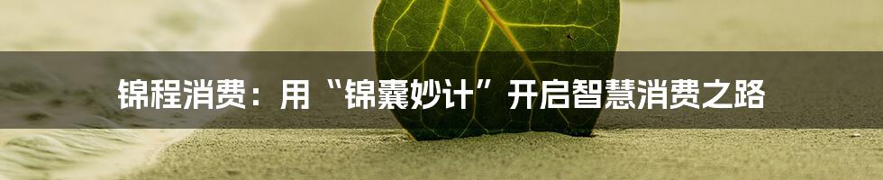 锦程消费:用“锦囊妙计”开启智慧消费之路