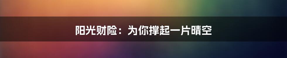 阳光财险:为你撑起一片晴空