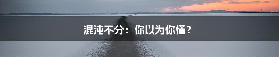 混沌不分:你以为你懂?