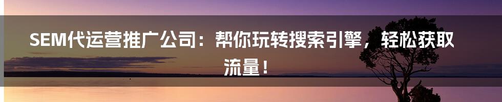 SEM代运营推广公司:帮你玩转搜索引擎,轻松获取流量!