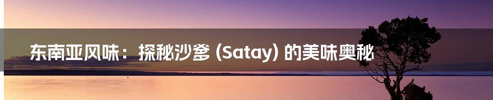 东南亚风味:探秘沙爹 (Satay) 的美味奥秘