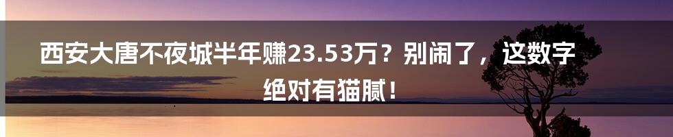 西安大唐不夜城半年赚23.53万?别闹了,这数字绝对有猫腻!