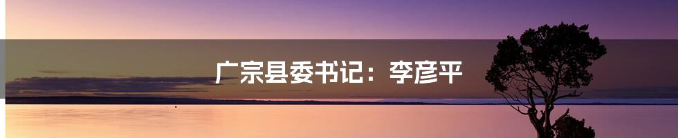 广宗县委书记:李彦平
