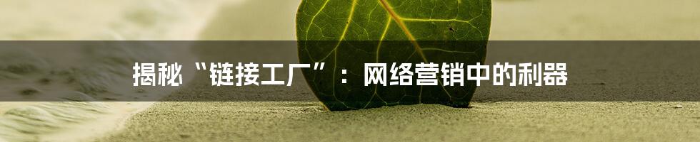 揭秘“链接工厂”:网络营销中的利器