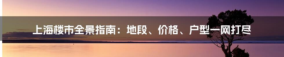 上海楼市全景指南:地段、价格、户型一网打尽