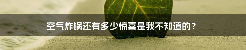 空气炸锅还有多少惊喜是我不知道的?