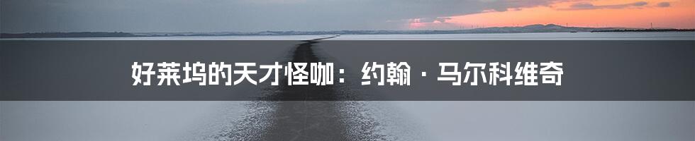 好莱坞的天才怪咖:约翰·马尔科维奇