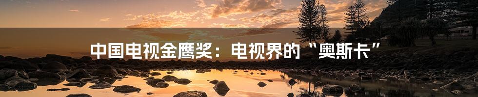中国电视金鹰奖:电视界的“奥斯卡”