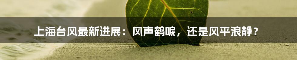 上海台风最新进展:风声鹤唳,还是风平浪静?